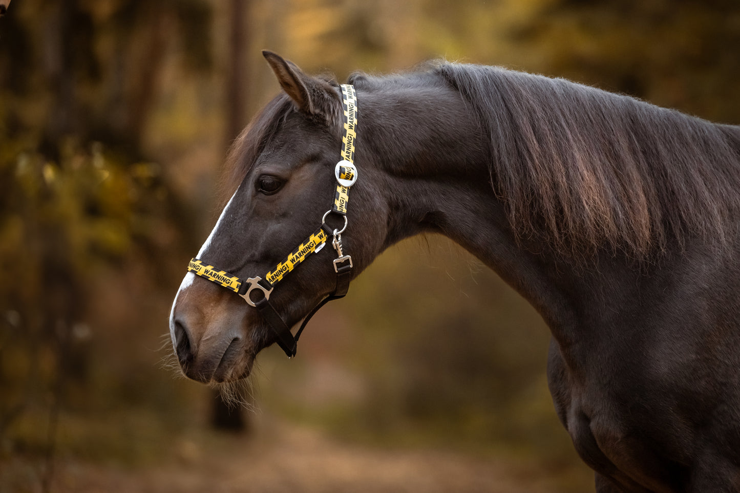 Happy Halsters - Zwart Warning halster