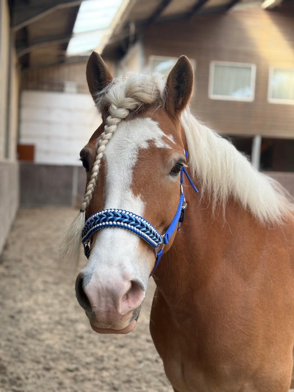 Handgemaakte paardenhalsters - Geknoopt halster ‘Feeling Blue’ blauwmix