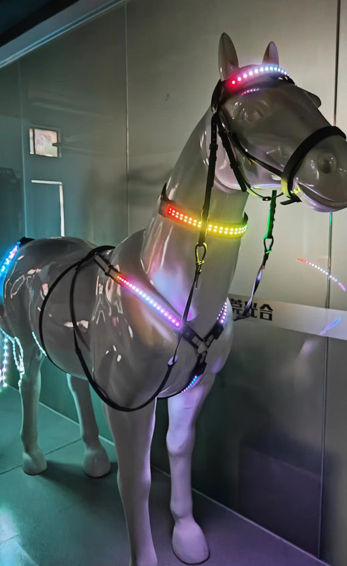 FMH - Luxe LED set voor paarden (borsttuig, frontriem, halsring en staartverlichting) interactief met app