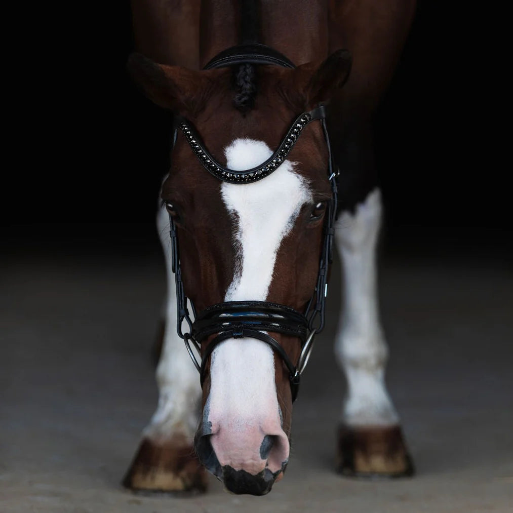 Lumiere/ Lumi Pony - Luxe Hanoverian hoofdstel 'Arcadia'