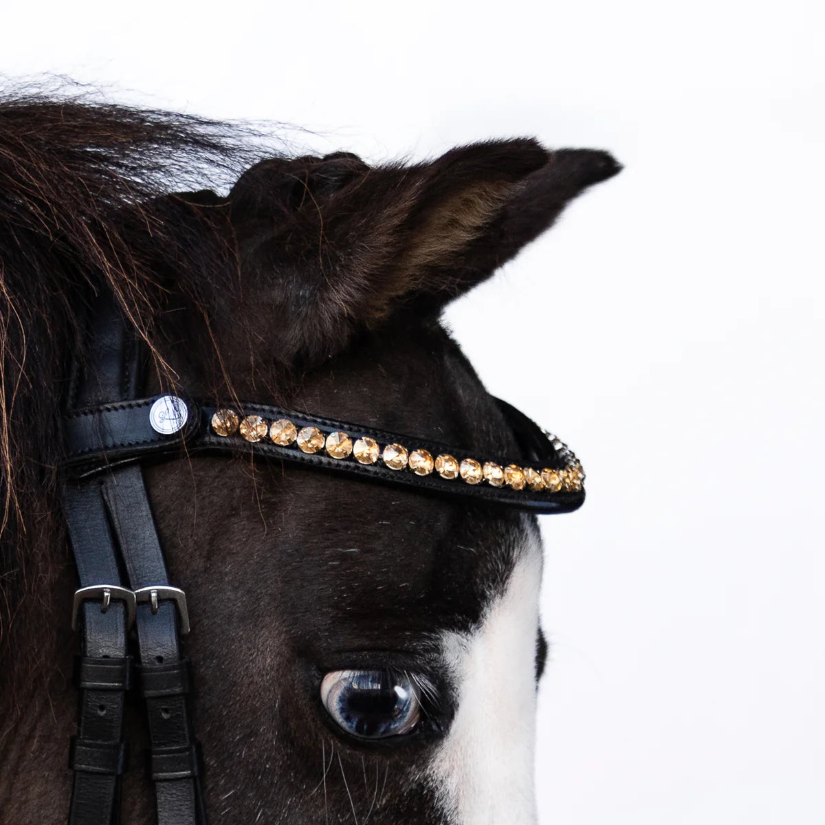 Lumi Pony - Iddy Biddy bitloos hoofdstel