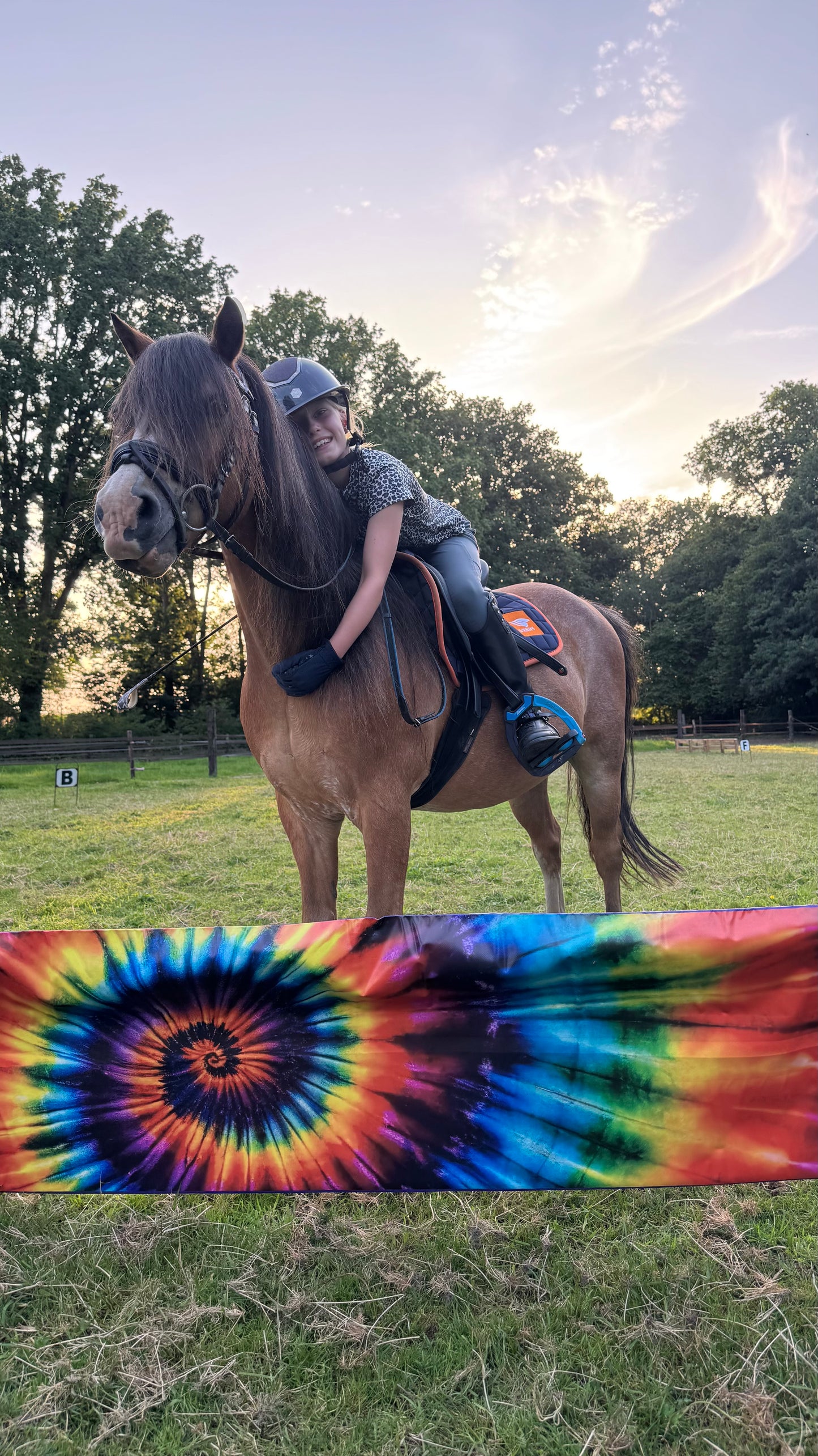 Jumpbanners - Hinderniszeil Bixie Tie-Dye