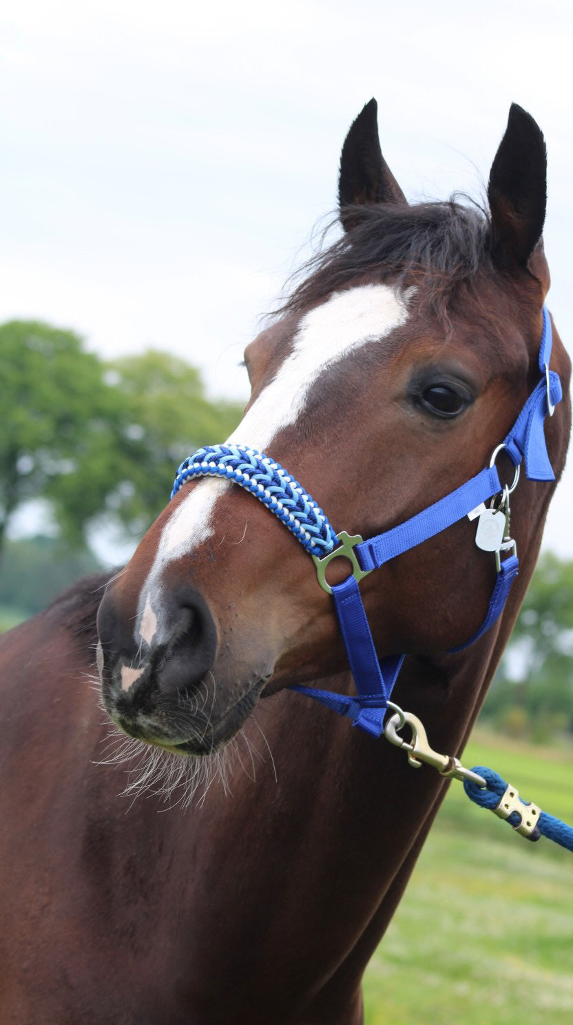 Handgemaakte paardenhalsters - Geknoopt halster ‘Feeling Blue’ blauwmix