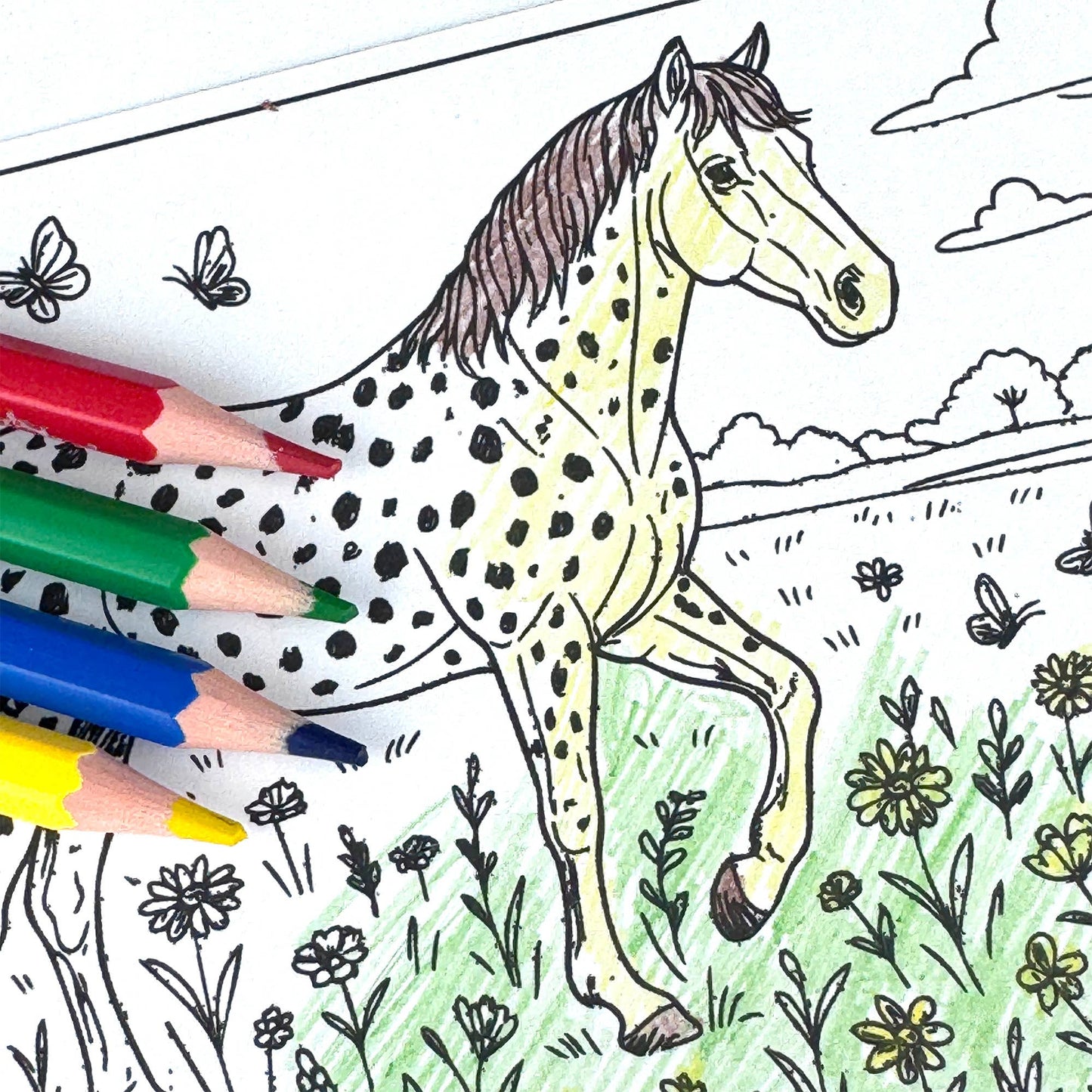 Colorfill Club - Kleurkaartenset Paarden