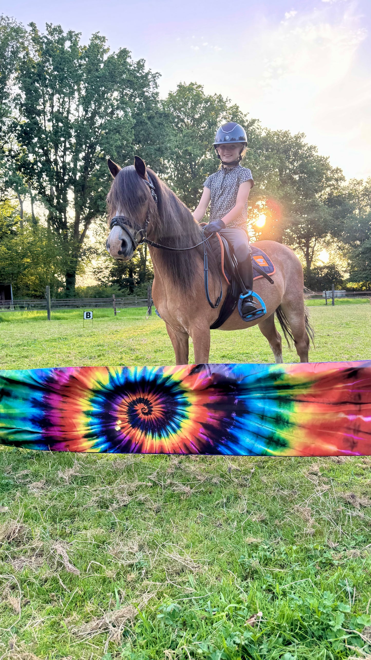 Jumpbanners - Hinderniszeil Bixie Tie-Dye