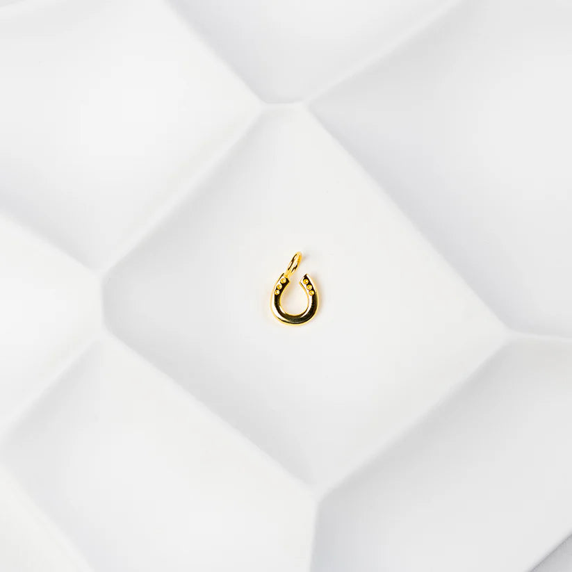 Spring Blossom - Ketting hoefijzer goud/rosé/zilver