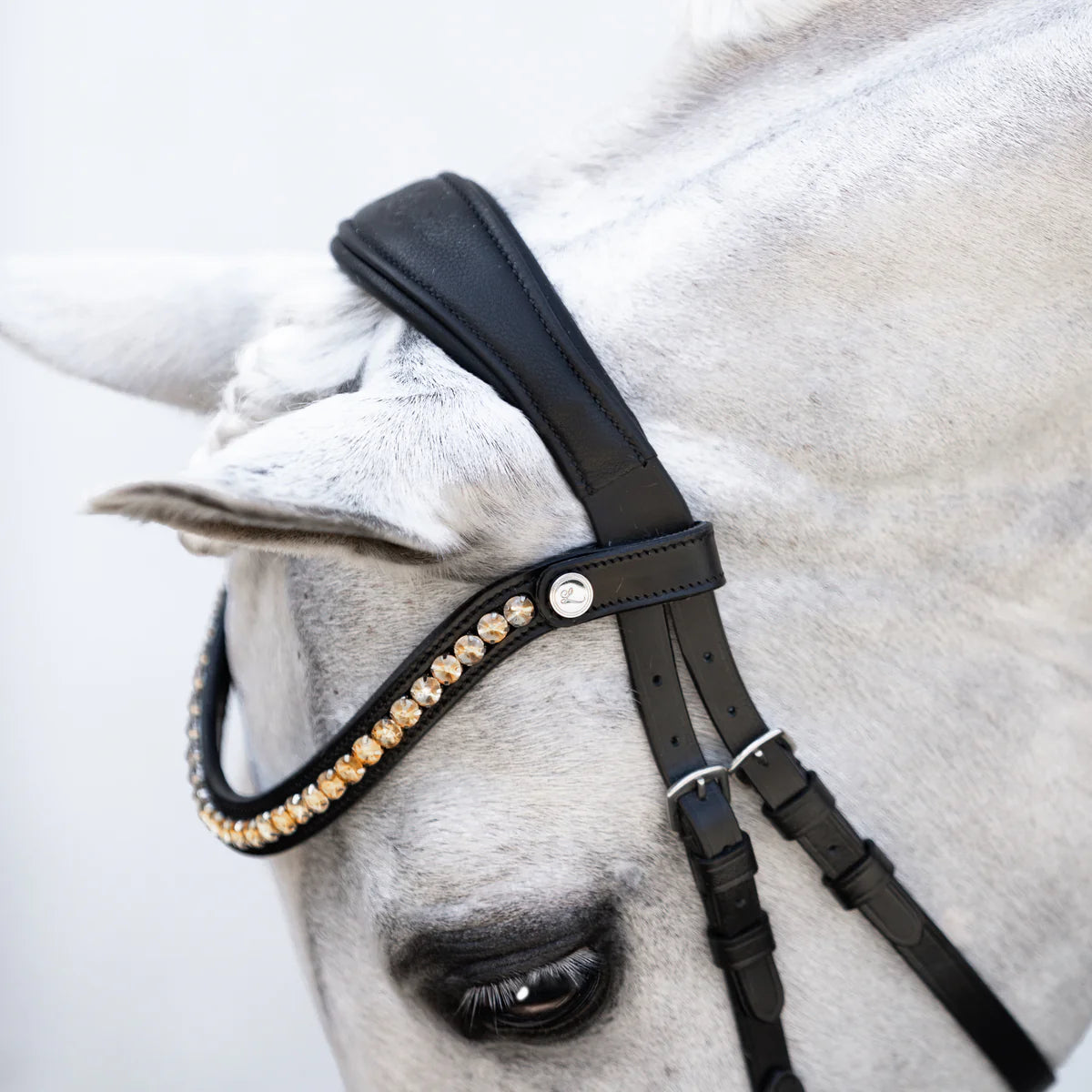 Lumi Pony - Iddy Biddy bitloos hoofdstel