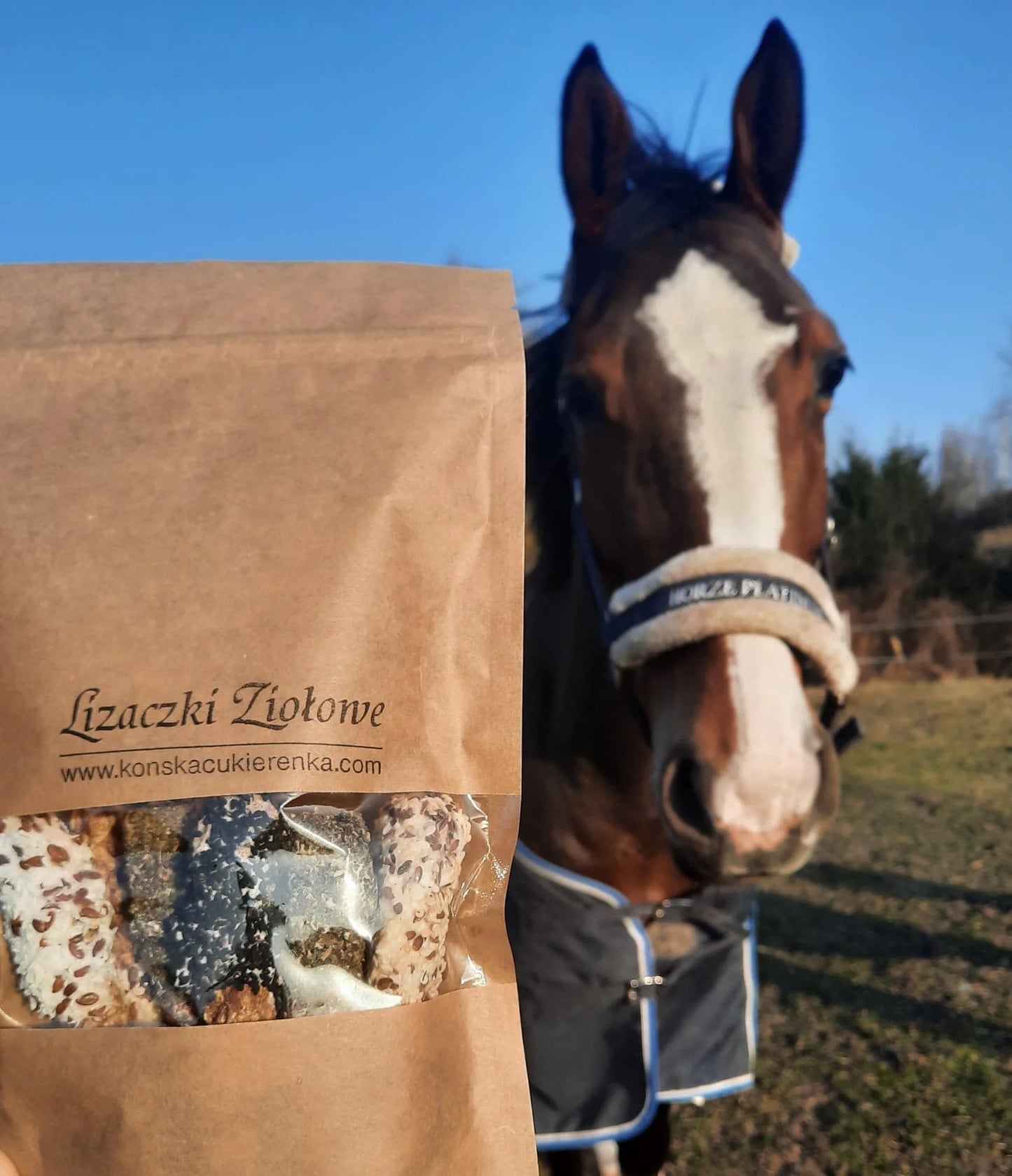 Konska Cukierenka - Pony Lollies (Grisini/Herbal/Gekleurd)