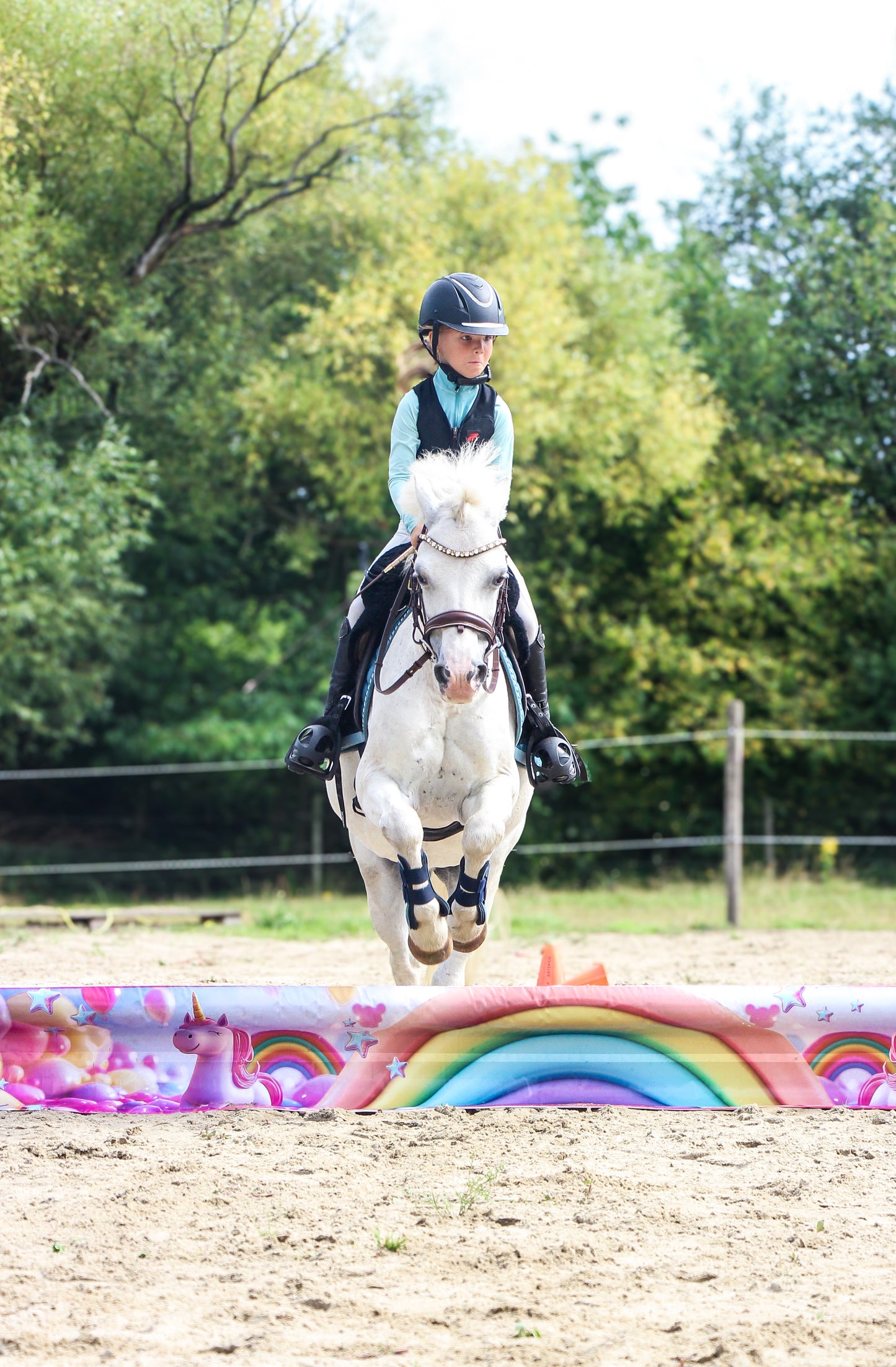 Jumpbanners - Hinderniszeil Bixie Unicorn Dreams