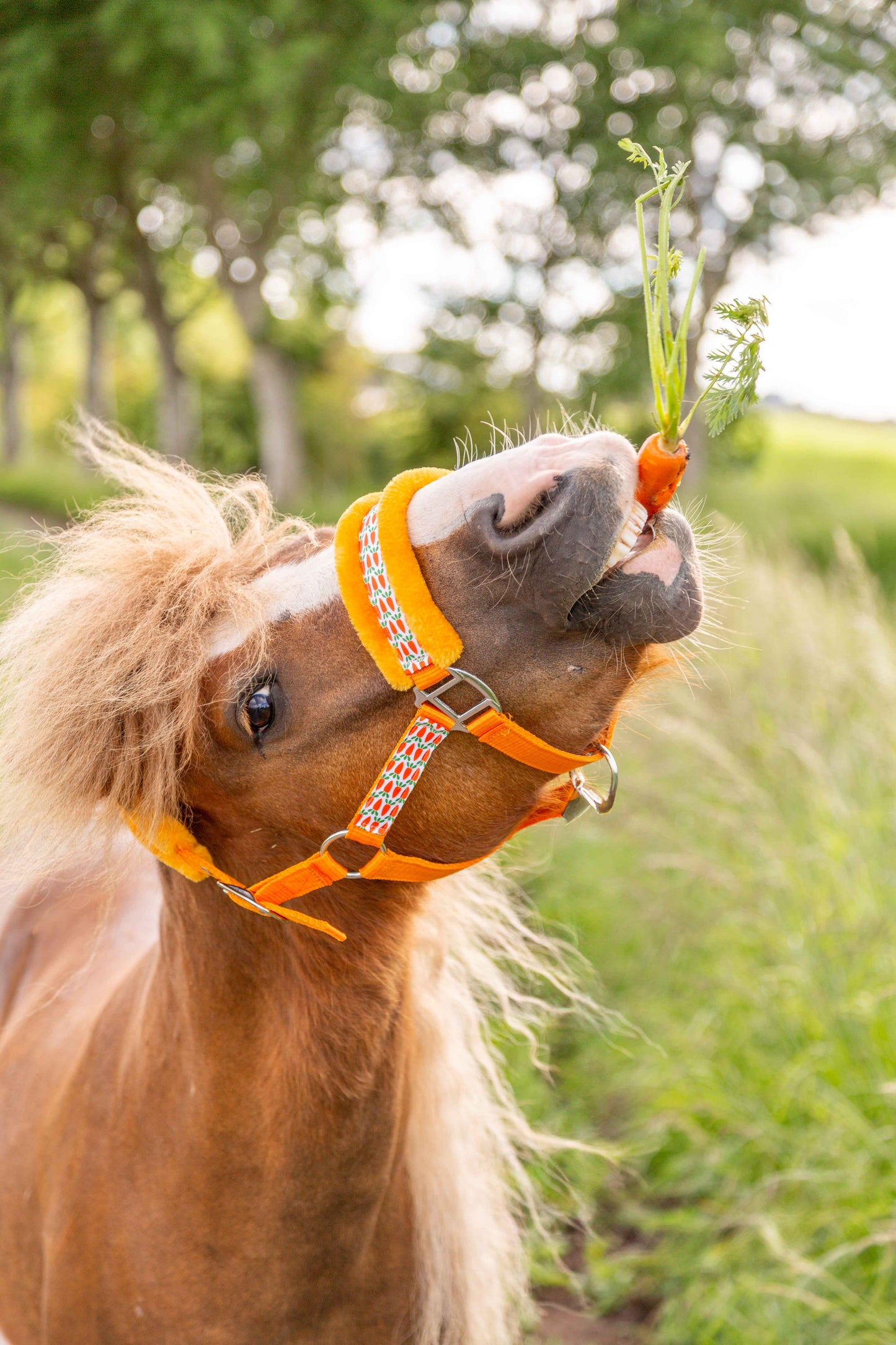 Happy Halsters - Orange carrot halter fur