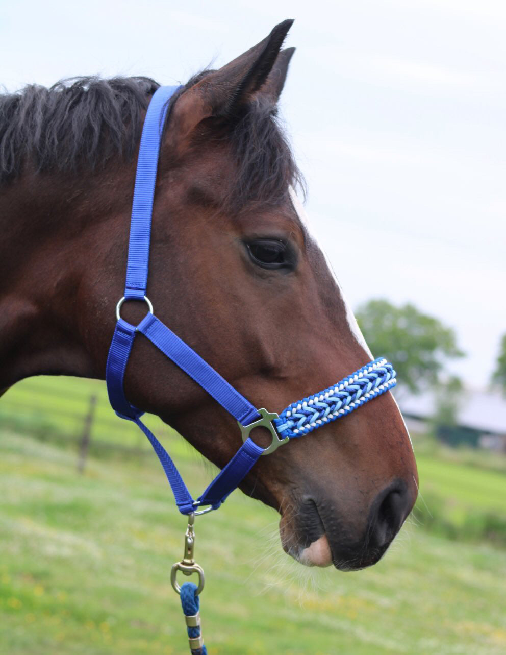 Handgemaakte paardenhalsters - Geknoopt halster ‘Feeling Blue’ blauwmix