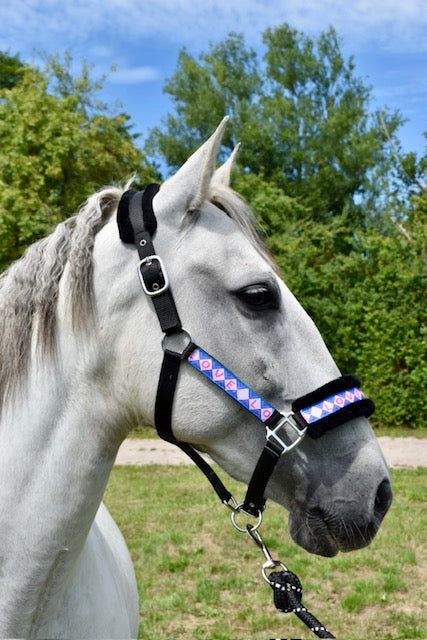 Happy Halsters x FMH - Love is Love Exclusive halter (coloured)