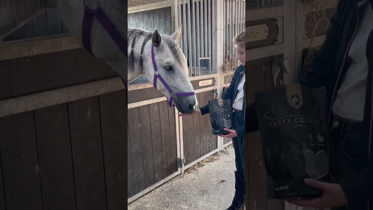 Excellent Horse - Ambachtelijke Paardenkoekjes Appel 500g