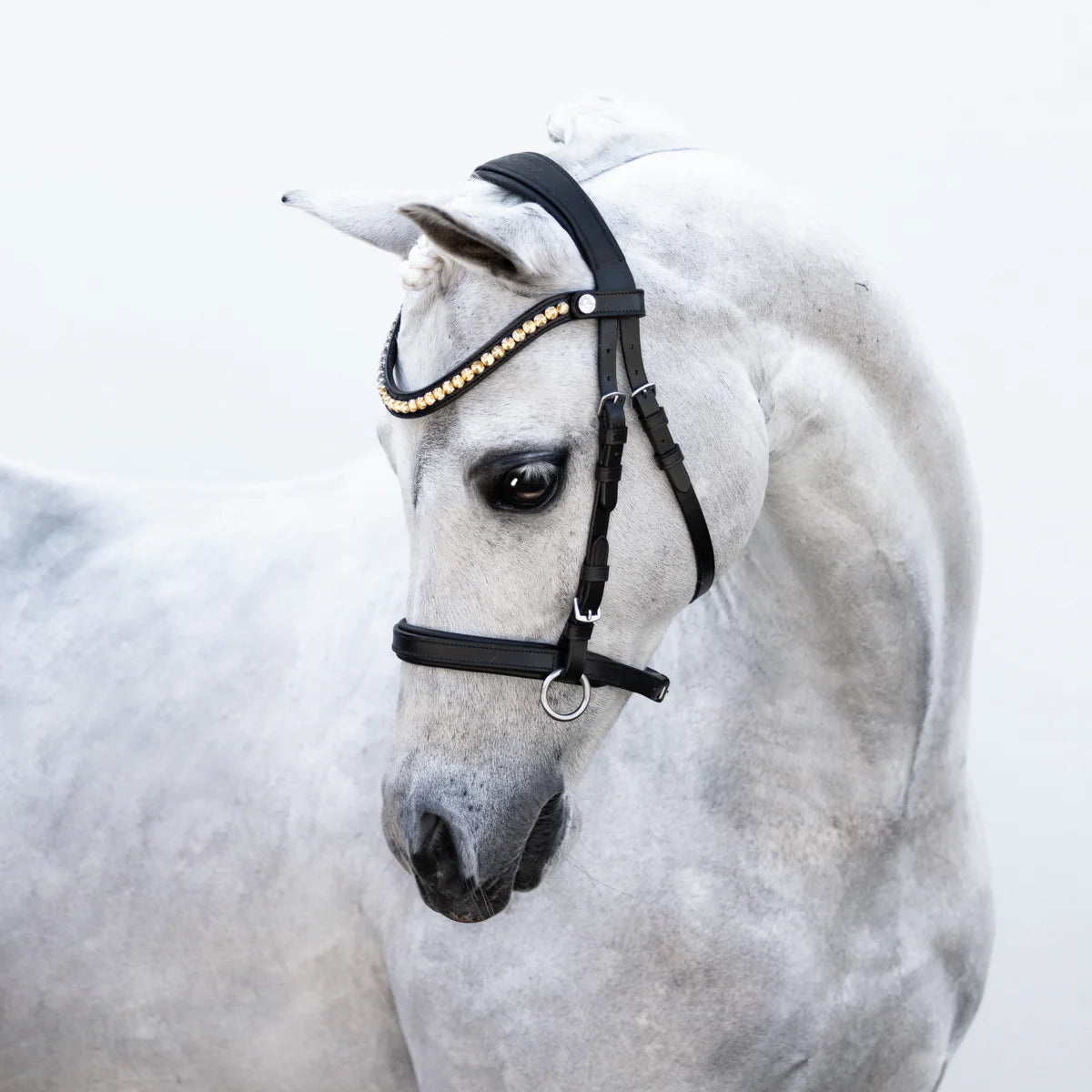 Lumi Pony - Iddy Biddy bitloos hoofdstel