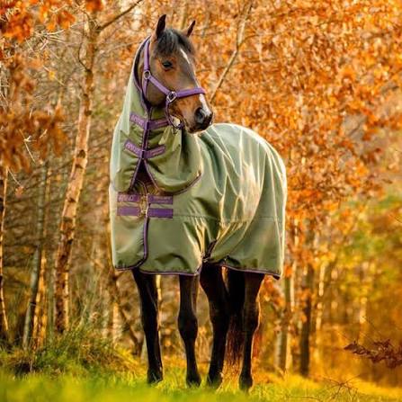 E0004 - Horseware Amigo Hero Ripstop Plus Turnout 200g Bramble/Winterberry 115/168 5’6” ZGAN