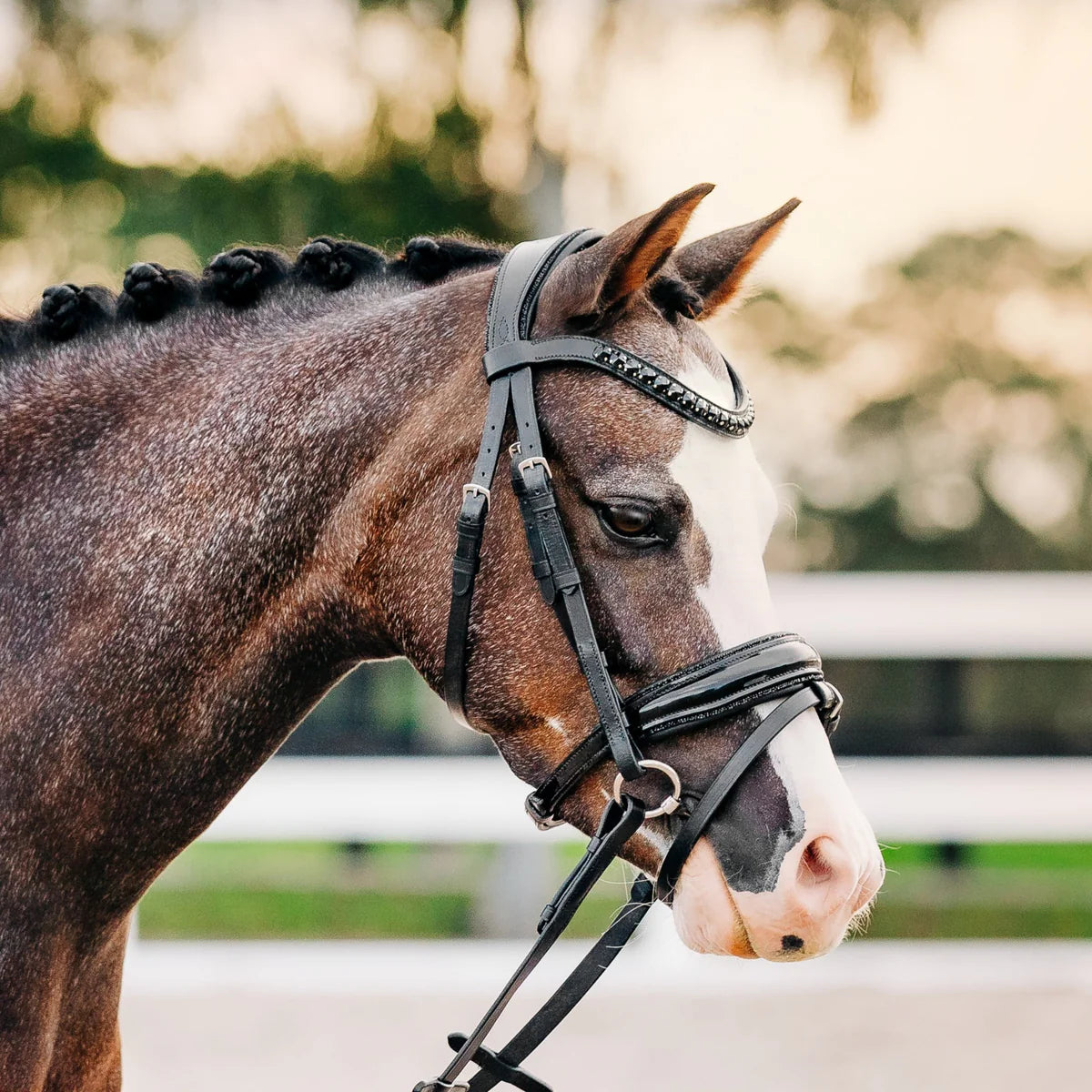 Lumiere/ Lumi Pony - Luxe Hanoverian hoofdstel 'Arcadia'