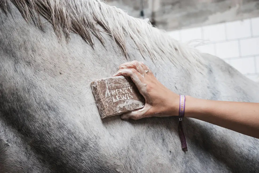 Frenky Lewis - Natuurlijke Paardenshampoo bar Honey & Care