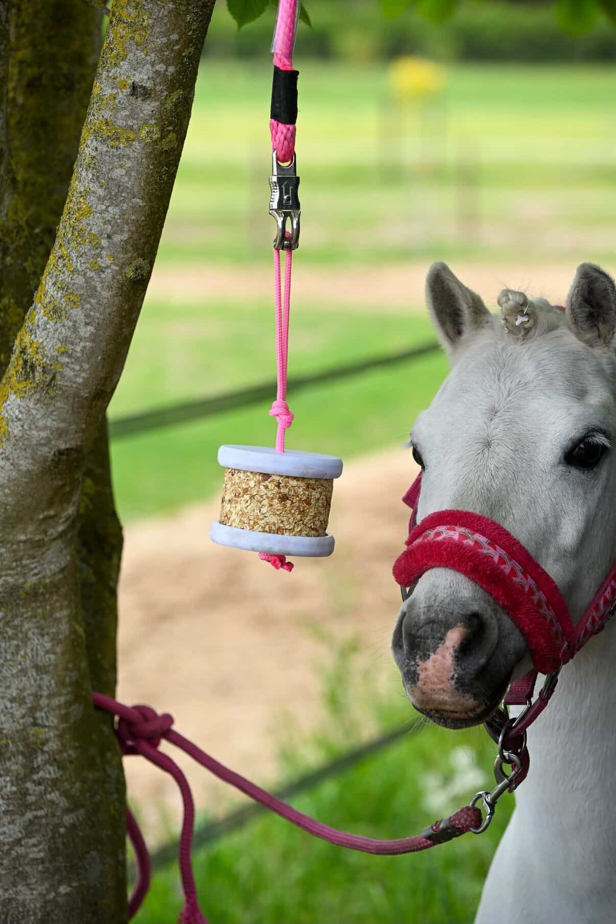 Happy Crackers - Happy Wild ophangsysteem knabbelblok