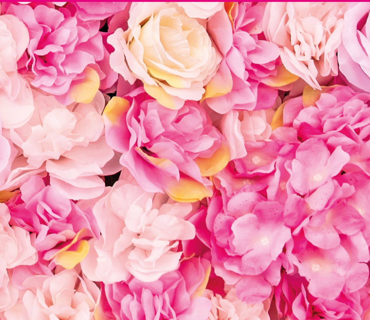Jumpbanners - Hinderniszeil Bixie Pink Roses
