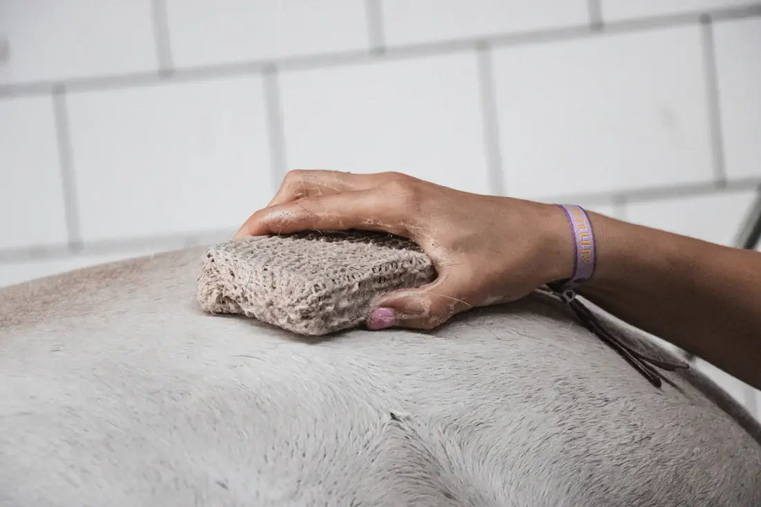 Frenky Lewis - Natuurlijke Paardenshampoo bar Classic & Hydrate