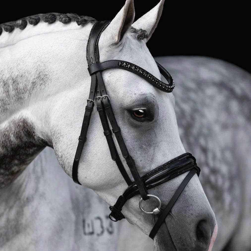 Lumiere/ Lumi Pony - Luxe Hanoverian hoofdstel 'Arcadia'