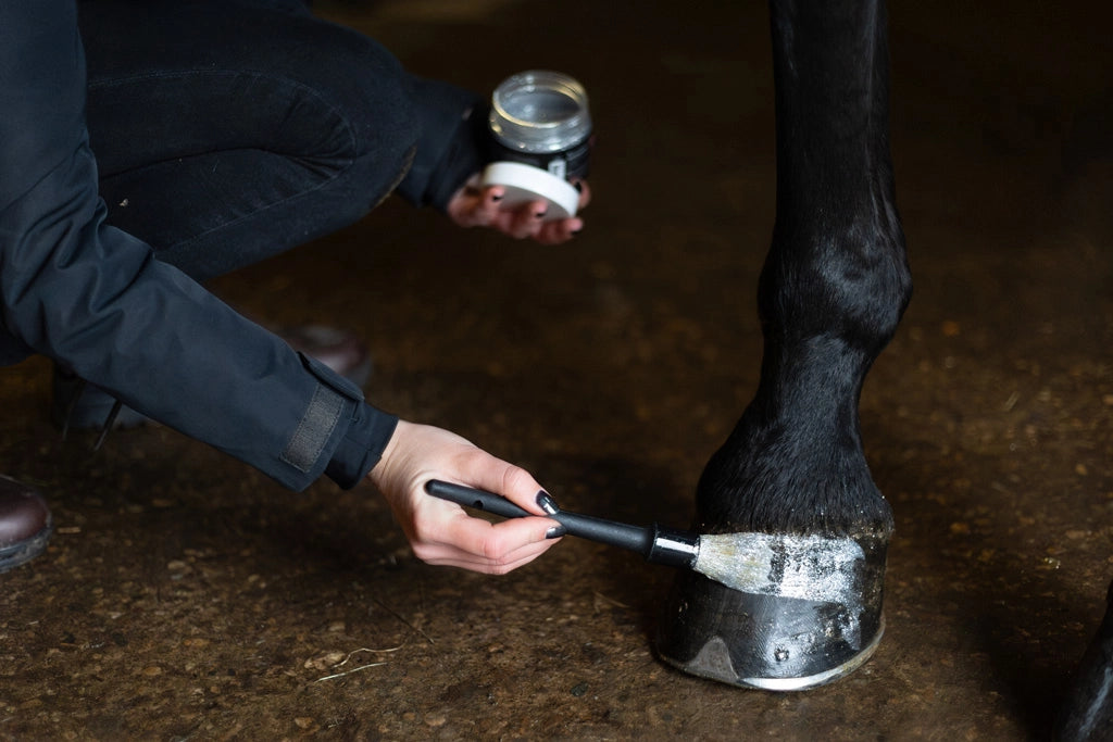Excellent Horse - Hi Gloss glitter hoeflak 150ml (diverse kleuren)