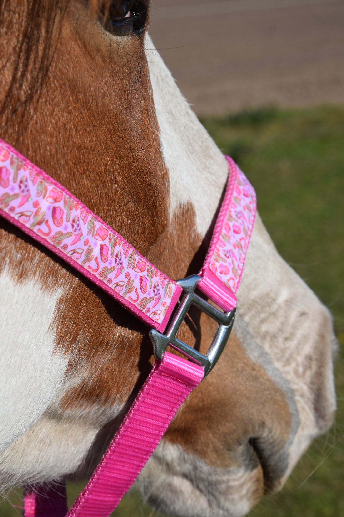 Happy Halters x FMH - Pink Cowgirl Exclusive halter div. to colour