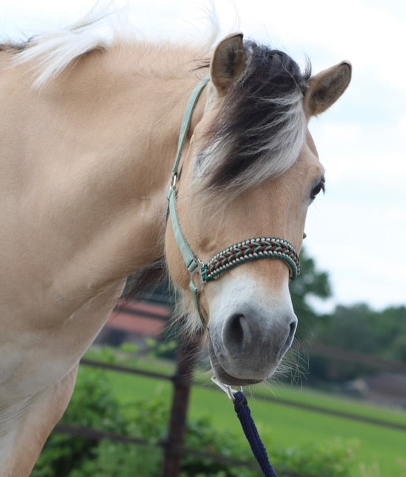 Handgemaakte paardenhalsters - Geknoopt halster ‘Natural’ olijf/ bruin/ beige