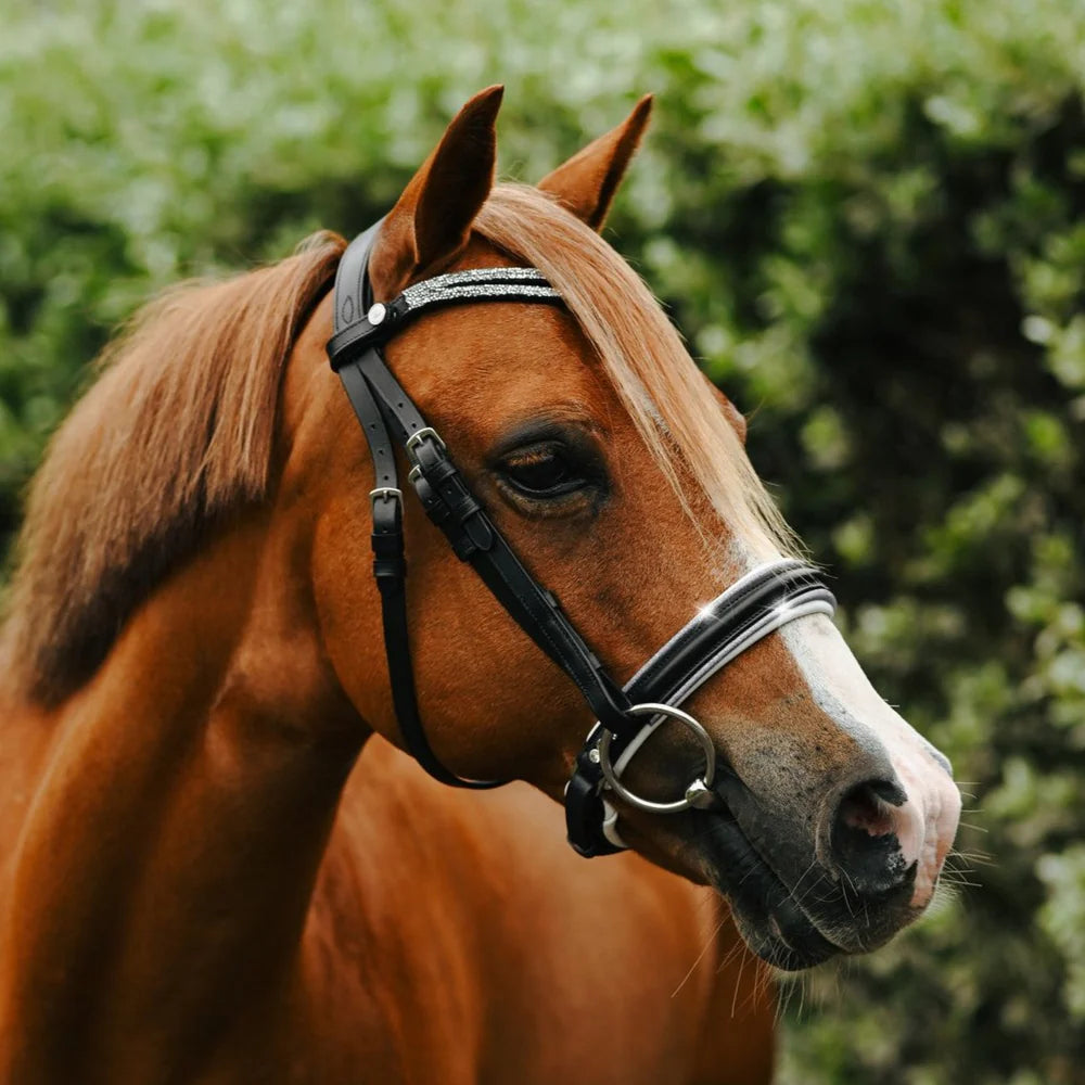 Lumi Pony - Princess hoofdstel