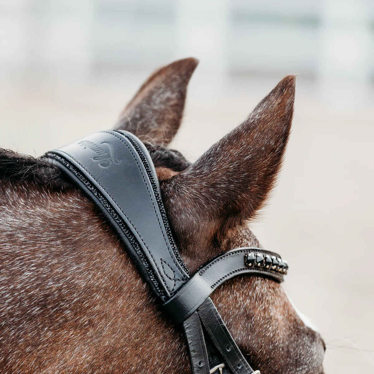 Lumiere/ Lumi Pony - Luxe Hanoverian hoofdstel 'Arcadia'
