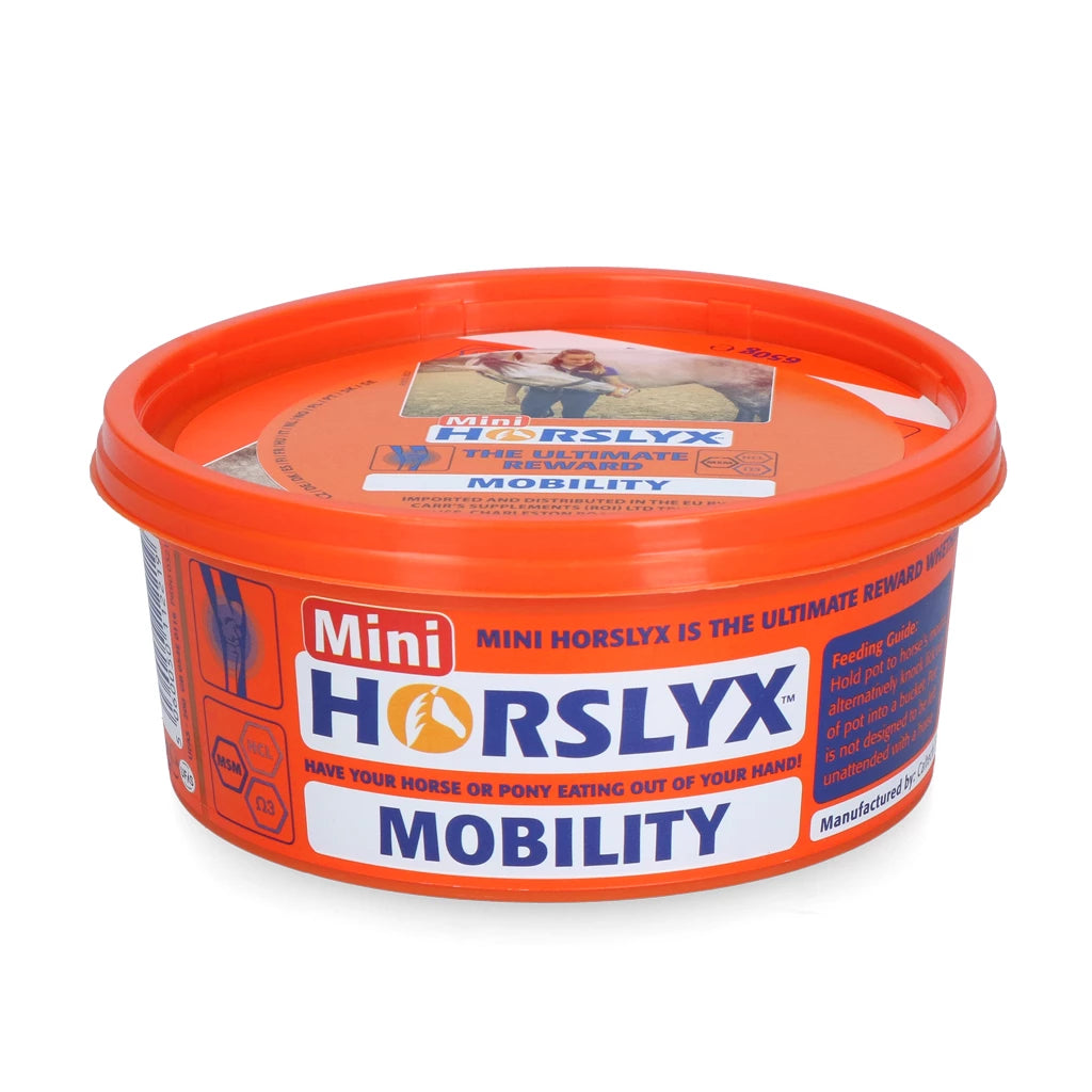 Horselyx - Liksteen Horselyx mini