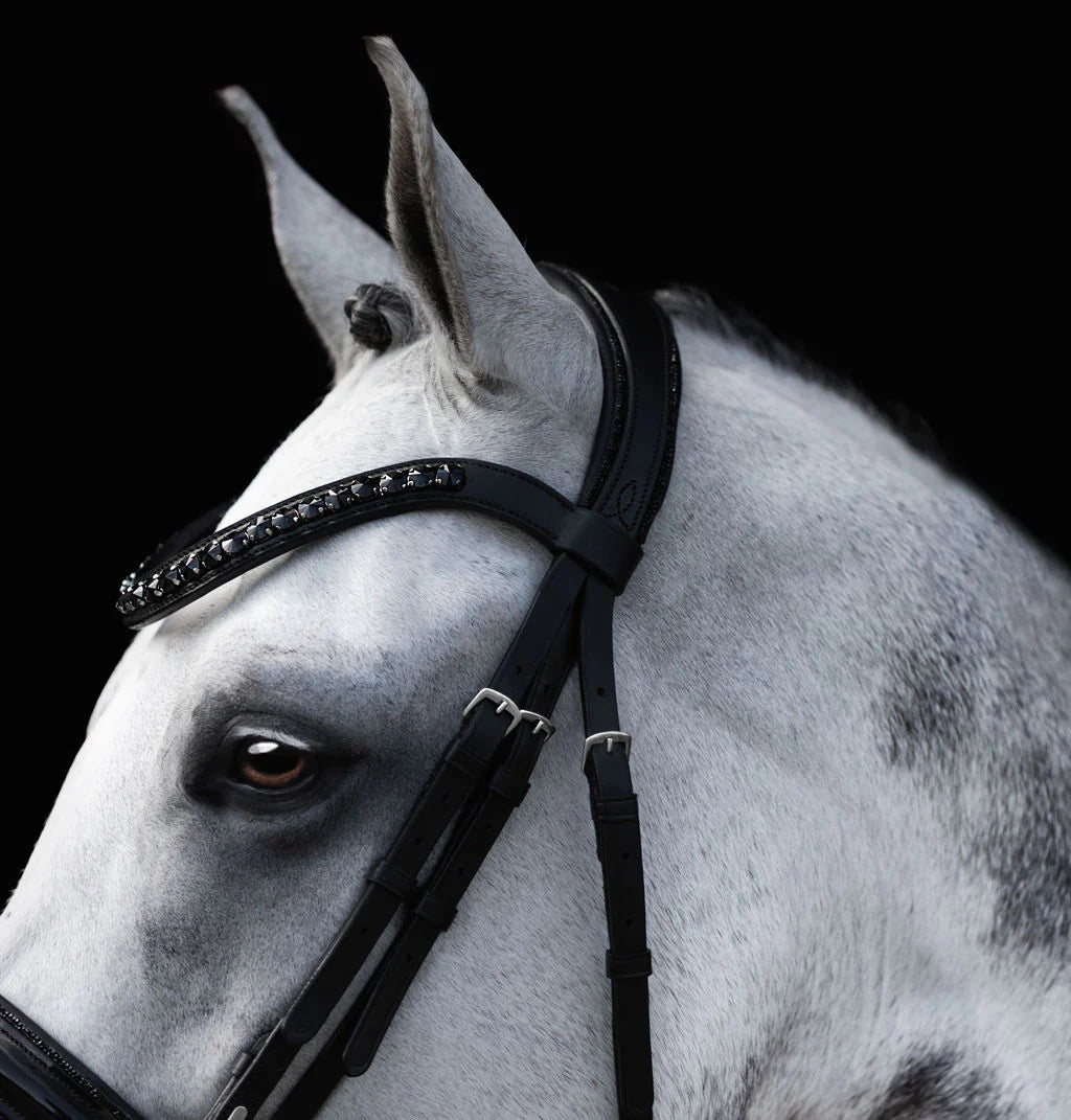 Lumiere/ Lumi Pony - Luxe Hanoverian hoofdstel 'Arcadia'