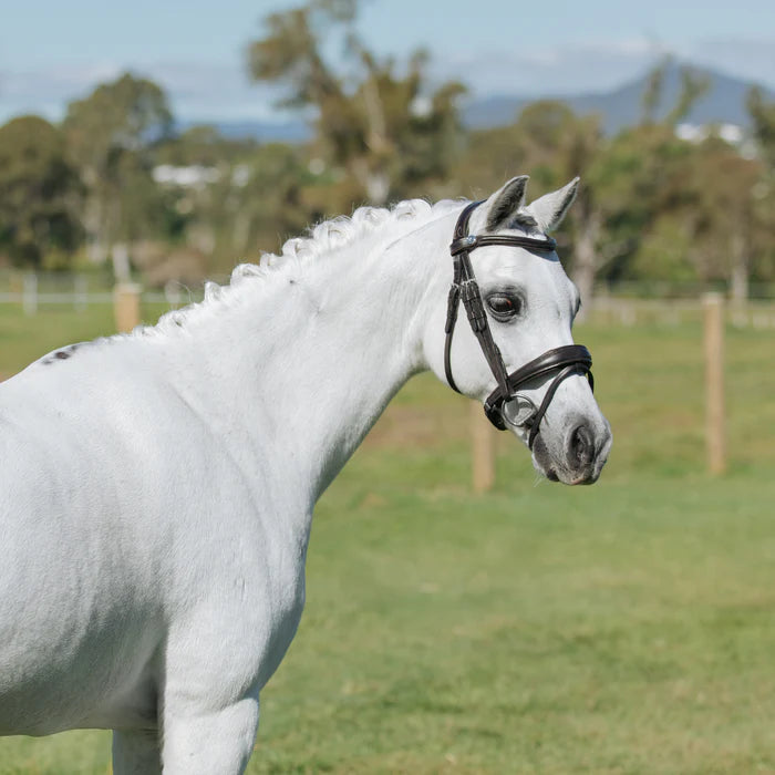 Lumi Pony - Mikayla hoofdstel Havana bruin of zwart (convertible)