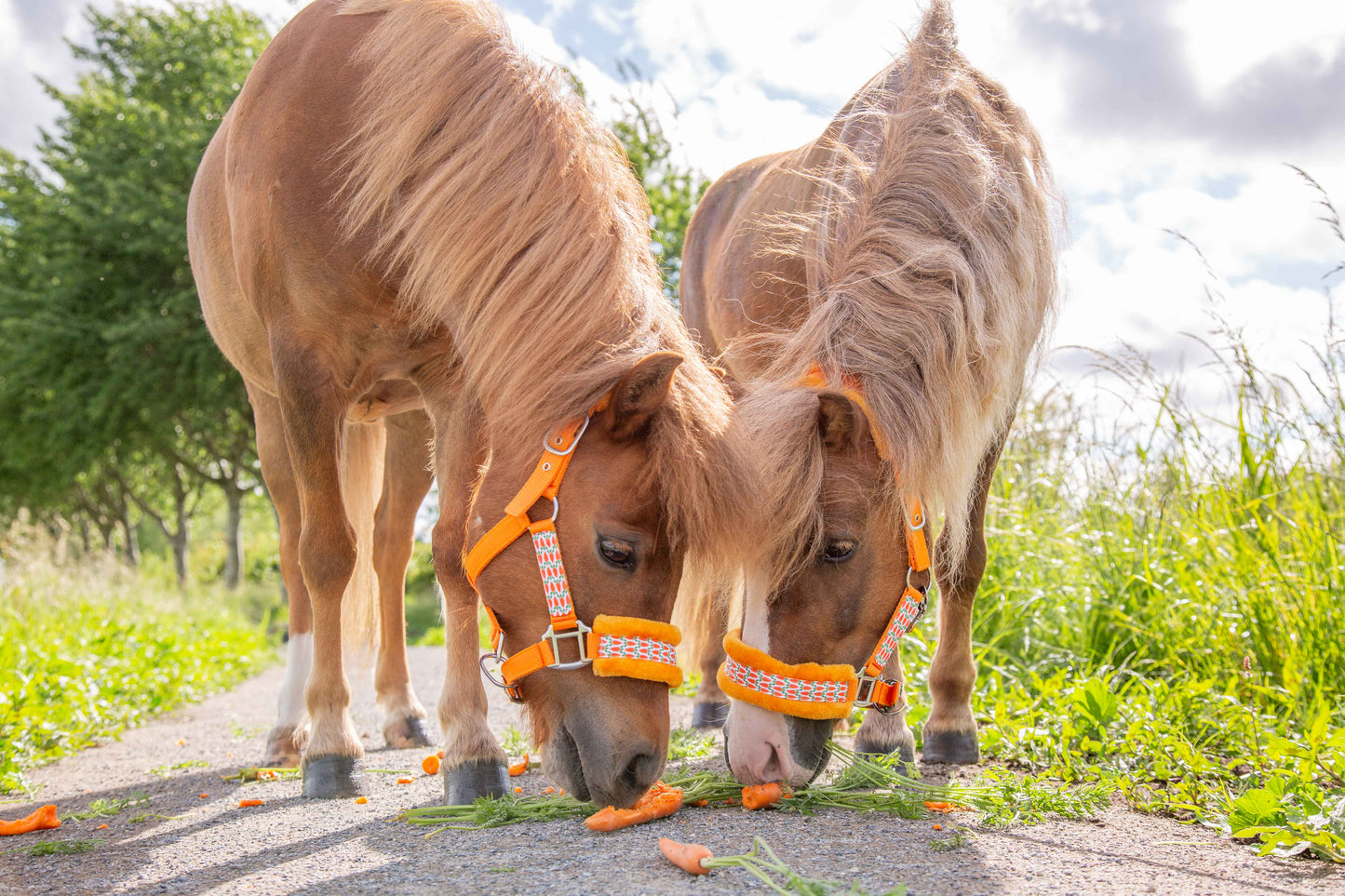 Happy Halsters - Orange carrot halter fur