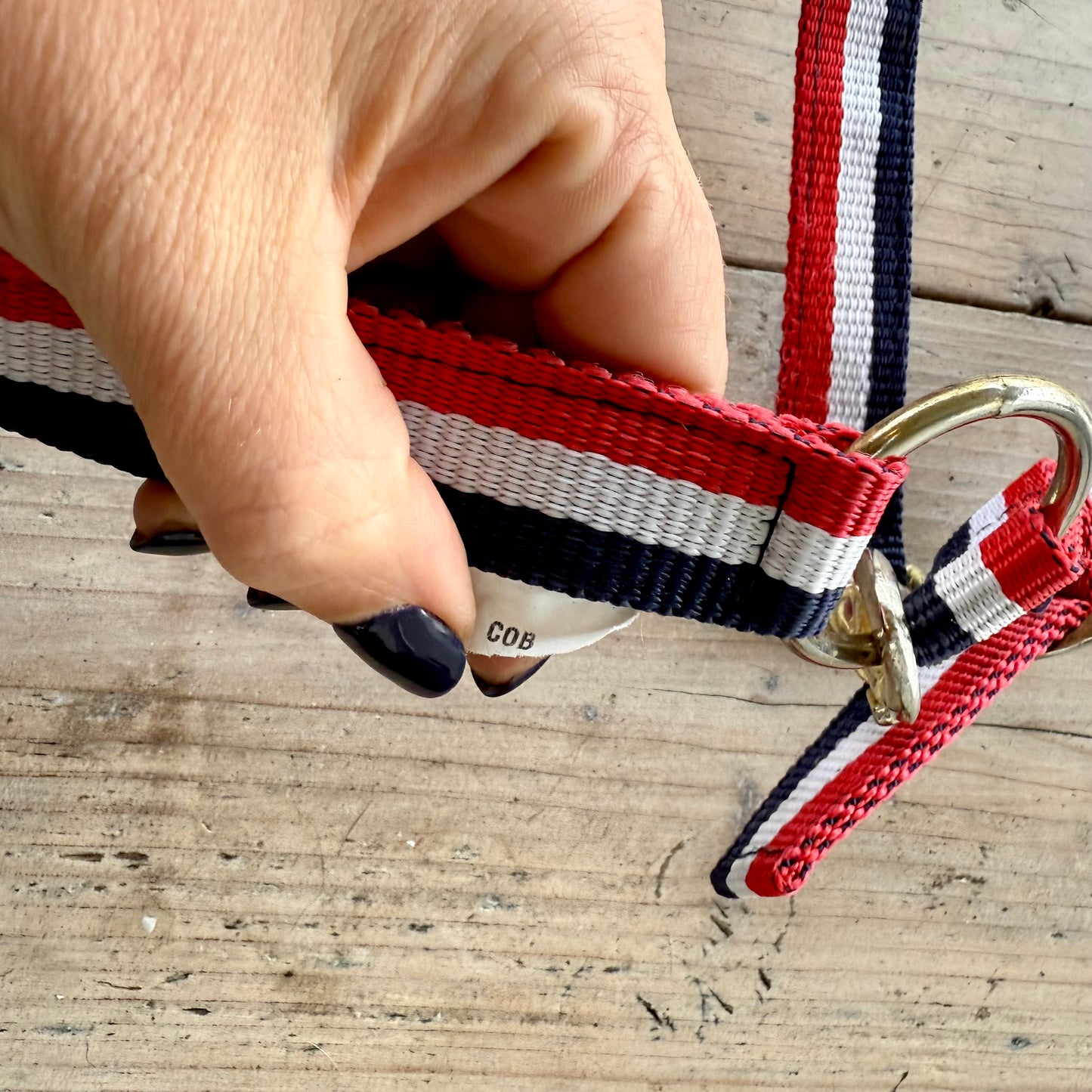 S0013 - 3 Halster en 1 halstertouw, Eskadron en QHP Cob