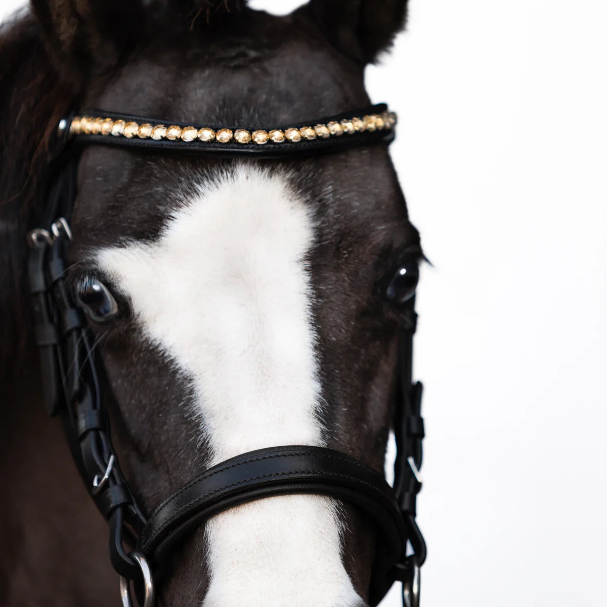 Lumi Pony - Iddy Biddy bitloos hoofdstel