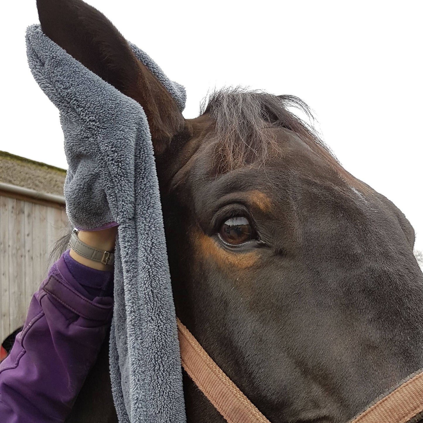 Henry Wag - Equine microvezel handschoenen-handdoek
