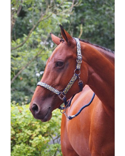 OP=OP - HB - Halster Crazy Gold