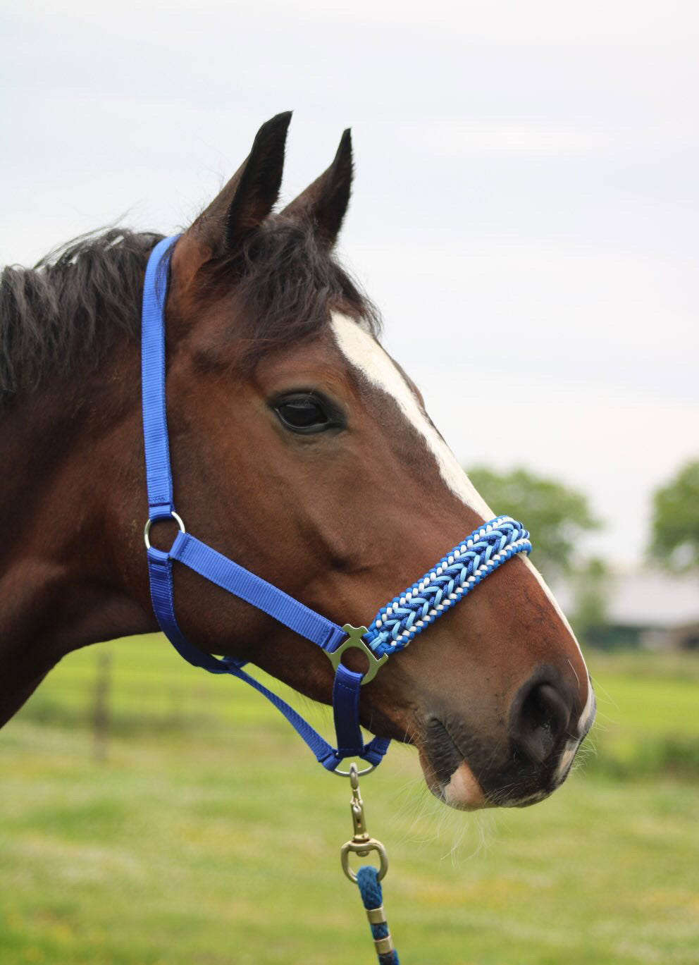 Handgemaakte paardenhalsters - Geknoopt halster ‘Feeling Blue’ blauwmix
