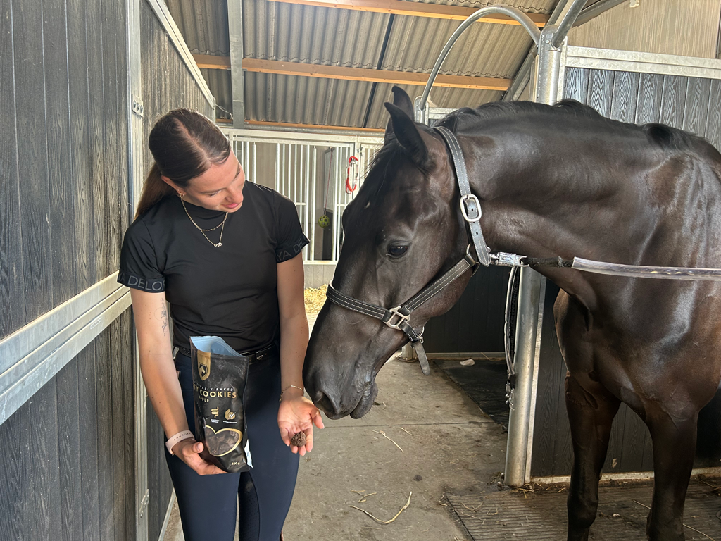 Excellent Horse - Ambachtelijke Paardenkoekjes Appel 500g