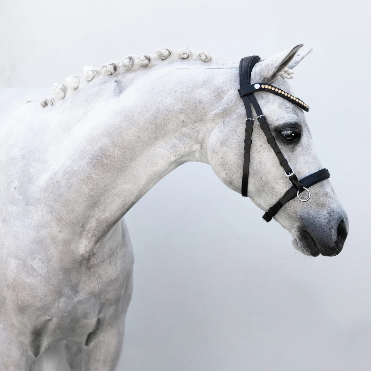 Lumi Pony - Iddy Biddy bitloos hoofdstel