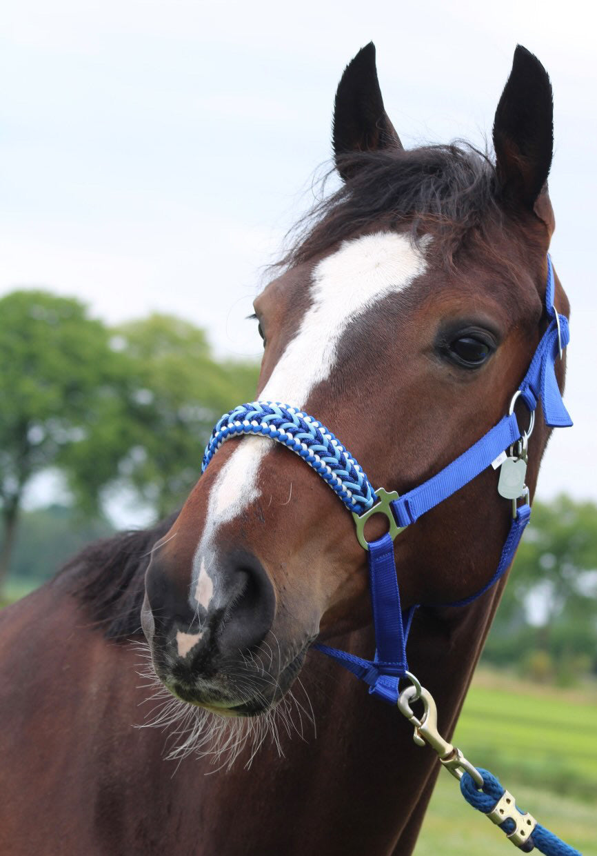 Handgemaakte paardenhalsters - Geknoopt halster ‘Feeling Blue’ blauwmix