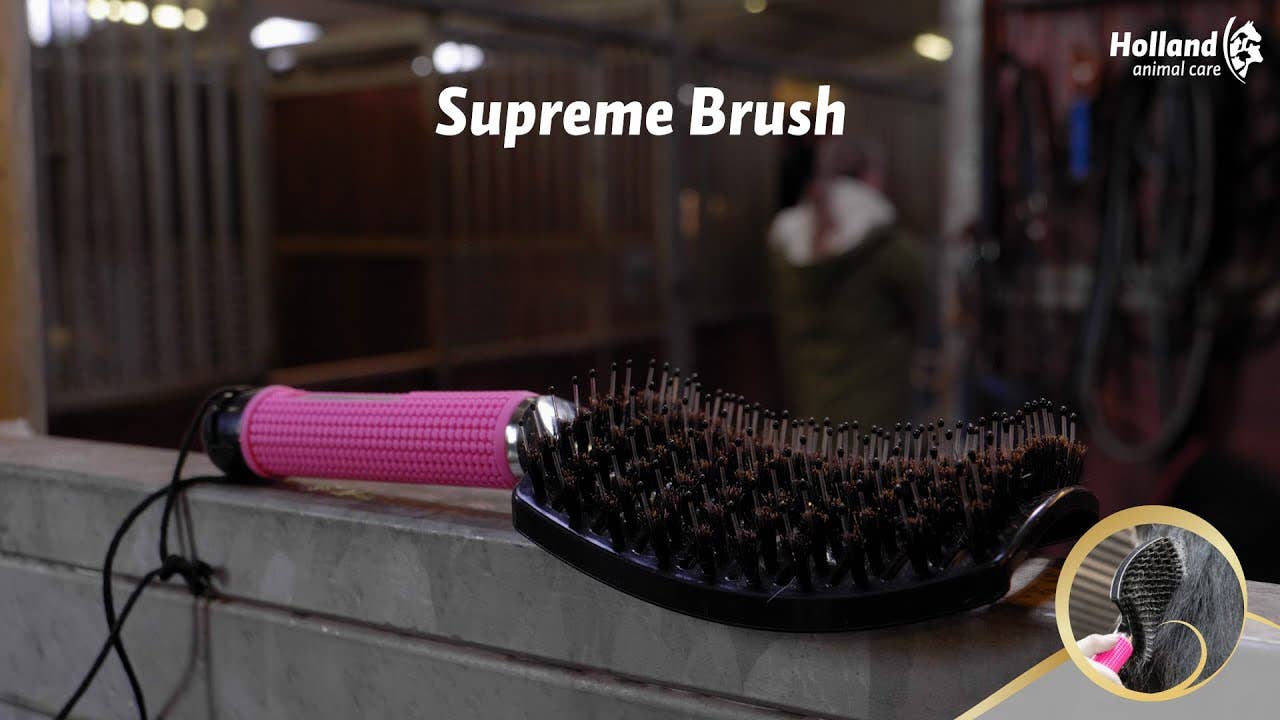 Excellent Horse - Supreme Brush Goud