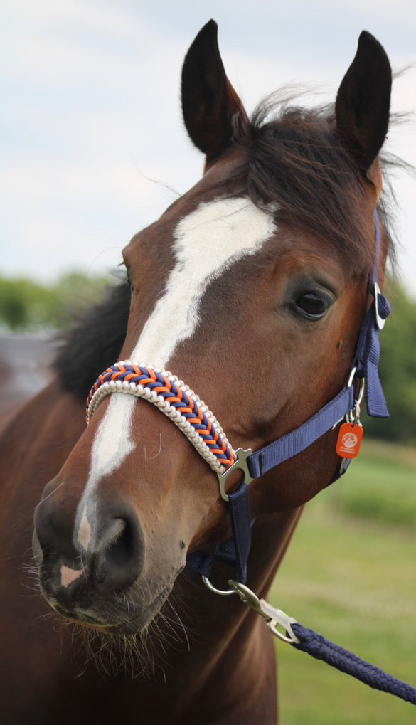 Handgemaakte paardenhalsters - Geknoopt halster ‘Kristy’ donkerblauw/ oranje