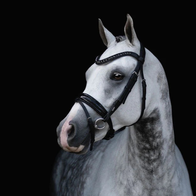 Lumiere/ Lumi Pony - Luxe Hanoverian hoofdstel 'Arcadia'