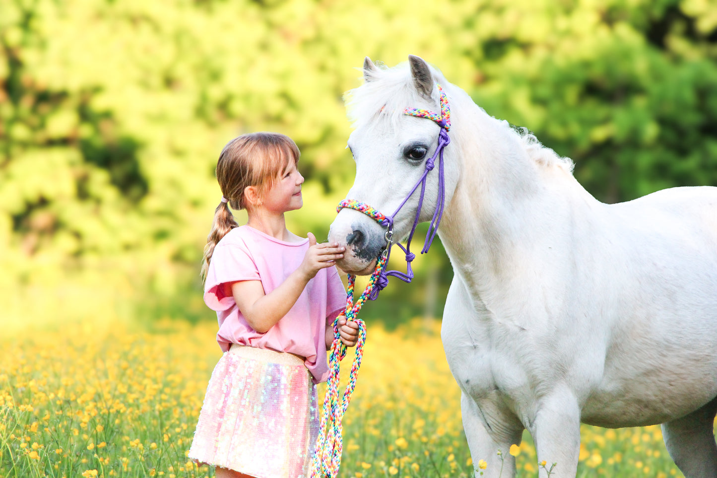 Horse Rope Shop - Touwhalster set rijhalster + teugels ‘Rainbow’ paars