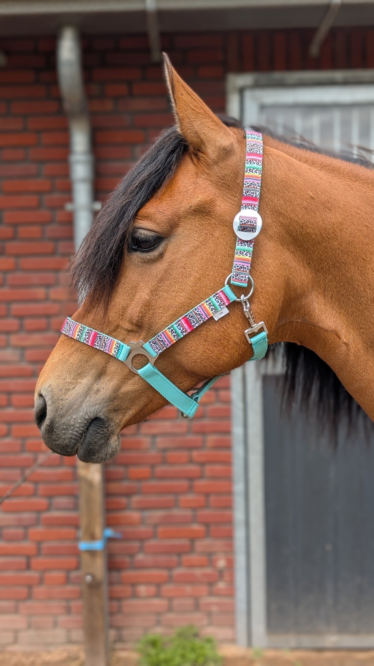 Happy Halters x FMH - Colorful Panther Exclusive halter