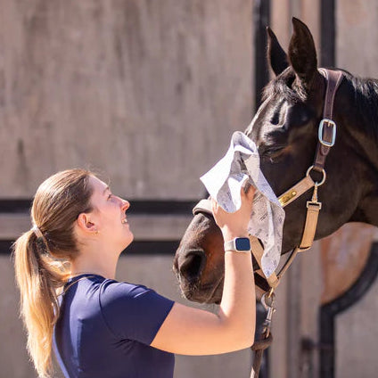 CleanYourHorse - Nano zilver Droogdoek (small/normaal)