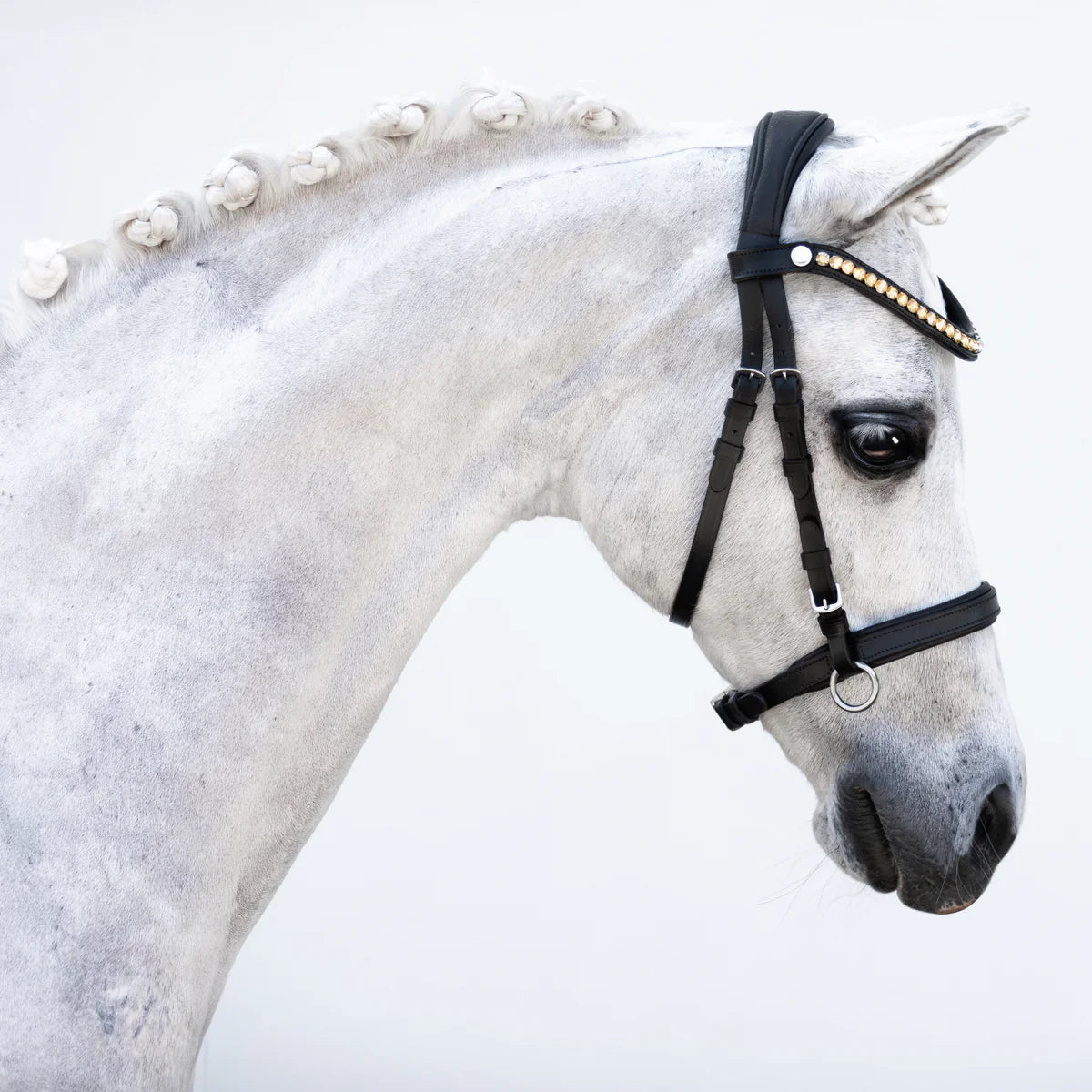Lumi Pony - Iddy Biddy bitloos hoofdstel