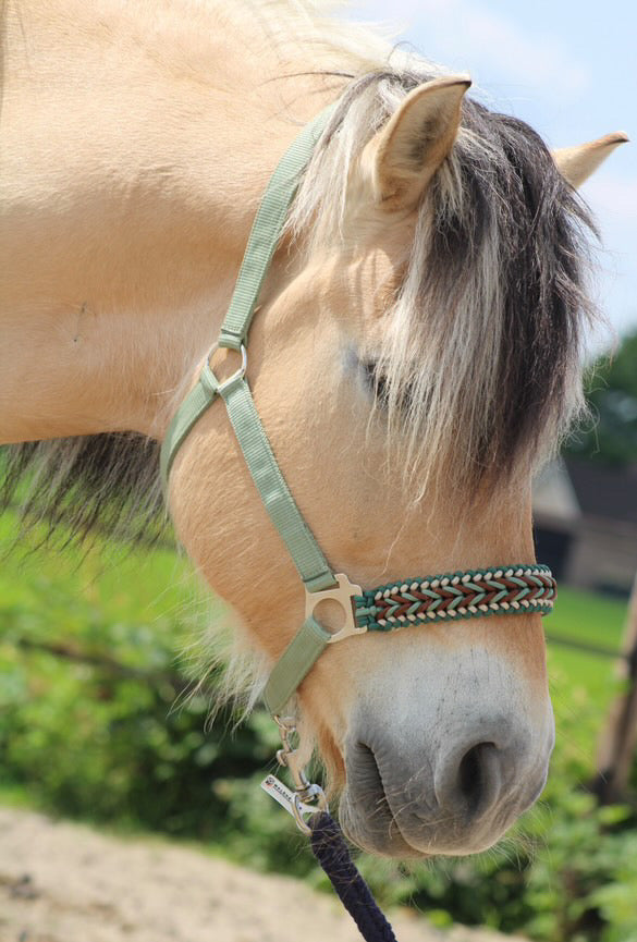 Handgemaakte paardenhalsters - Geknoopt halster ‘Natural’ olijf/ bruin/ beige